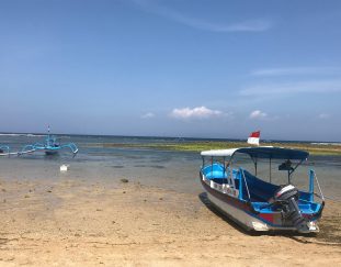 bienvenu-a-bali
