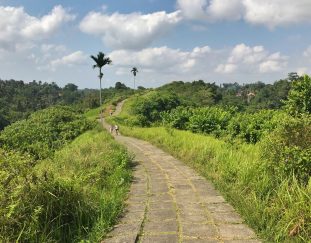 ubud